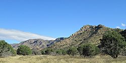 Bonita Canyon Arizona 2014.JPG