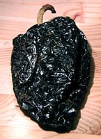 Capsicum annuum ancho dried