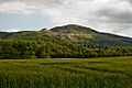 Carlton Bank from Great Busby