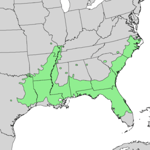 Carya aquatica range map 1.png