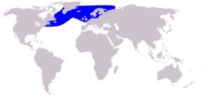 Cetacea range map White-beaked Dolphin.PNG