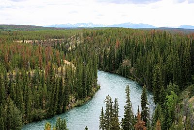 Chilko River, Lava Canyon