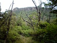 Cliff on Mount Keira