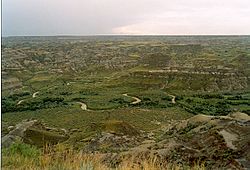 Dinosaur provincial Park