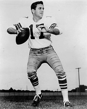 Don meredith cowboys