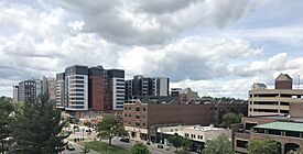 Downtown East Lansing c. 2022