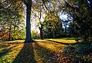 Edinburgh Botanic Garden (39369698954)