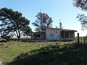 Escuela N* 10 Hipolito Bouchard