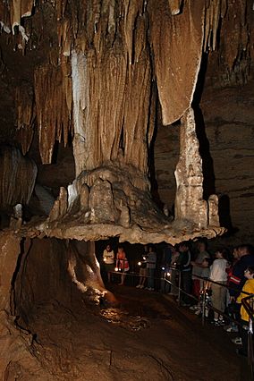 Fisher Cave Stalactiflat.JPG