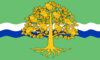 Flag of Nottinghamshire County Council.png