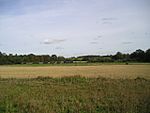 Fordham Abbey - geograph.org.uk - 62891.jpg