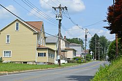 Houses on Frankstown Road, near Daisytown