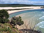 A grassy hilltop overlooking a shallow sand beach, with thick forests in the backgroun