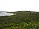 Green terrain of Grassy Island near the water