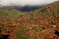 Graveyard Fields 3