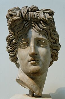 Head Apollo BM Sc1547