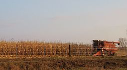 Iowa harvest 2009