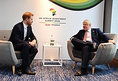 Johnson and Prince Harry at 2020 African Investment Summit