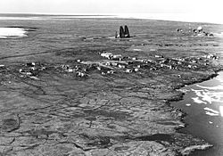 Aerial view of Kaktovik and Barter Island LRRS.