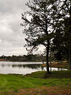 Lake Tuskegee