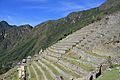 Machu Picchu (3833992683)