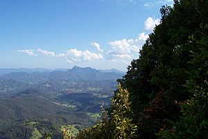 Mount Warning