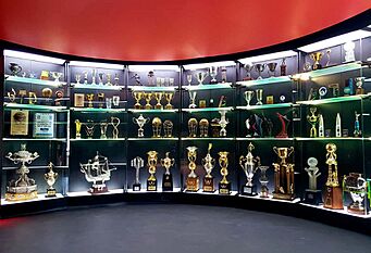 Museu-do-flamengo-sala-de-trofeus