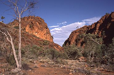 N'Dhala Gorge002a.jpg