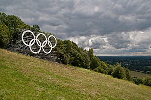 Olympic Rings Box Hill-by-Ian-Capper