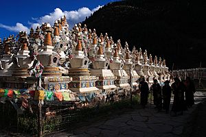 Pagoda at Larima, Xinlong.jpg