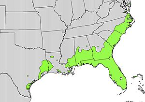 Persea borbonia range map.jpg