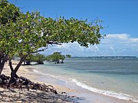 Ponce La Guancha Beach