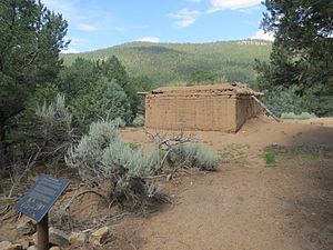 Pot Creek Pueblo 7