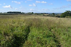 Pullloxhill Marsh 4.JPG