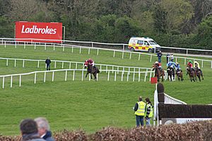 Punchestown races 2009.jpg