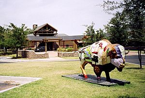 Quartz mountain buffalo 2006