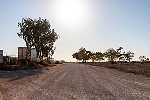 Rawlinna (AU), Trans Access Road -- 2019 -- 0577.jpg