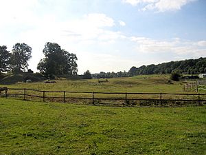 Remains of Brandon Castle