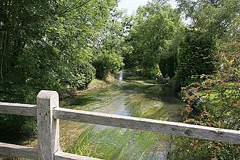 River Ebble at Coombe Bisset.jpg