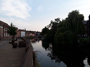 River Wensum 1