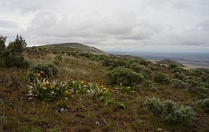 Saddle-mountains-looking-east-along-ridge