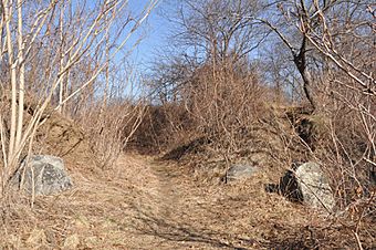 SalemMA FortLee Earthworks.jpg