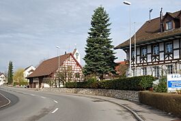 Schöfflisdorf faktrabdomoj 063.jpg