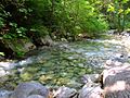 Shannon Falls Provincial Park 05