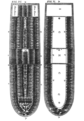 Slave ship diagram