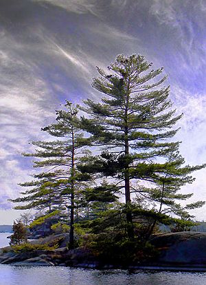 Stony Lake, Ontario