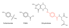 Sulfa folate