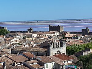 Toits d'Aigues-Mortes