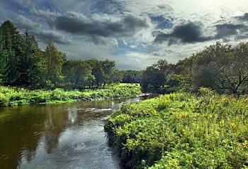 Tomifobia River small.jpg