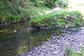 Tong End Brook Spodden